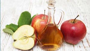 sloth diet with apple cider vinegar